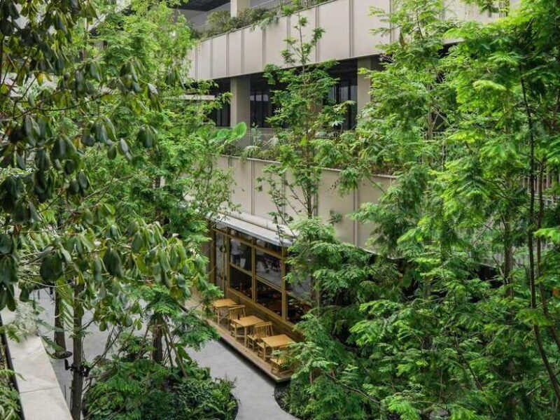 3 Hours City Walk in French Concession and Street Food Tour - Discover the Charm of Shanghai’s French Concession with a Food-Filled Walk
