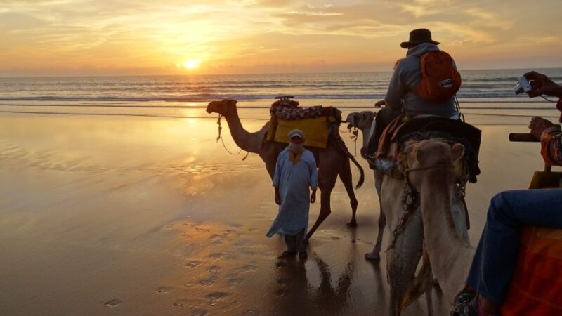 3-Hours Dromedary Ride Essaouira, Morocco - Transportation and Pick-up Details