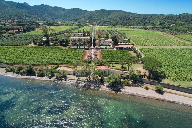 3 Hours e-bike Tour with Wine Tour at Tenuta la Chiusa - Key Points