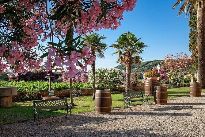 3 Hours e-bike Tour with Wine Tour at Tenuta la Chiusa - An In-Depth Look at the Tour