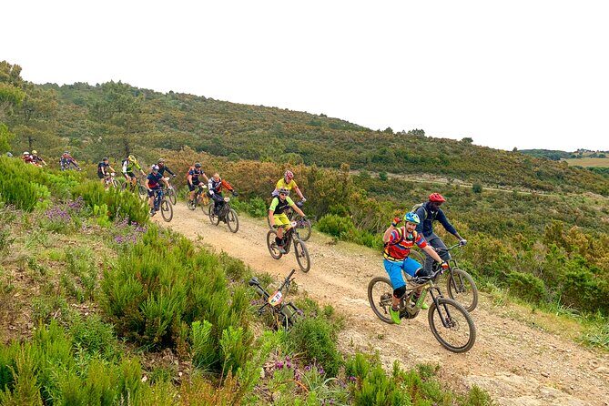 3 Hours e-bike Tour with Wine Tour at Tenuta la Chiusa - Real-World Experience