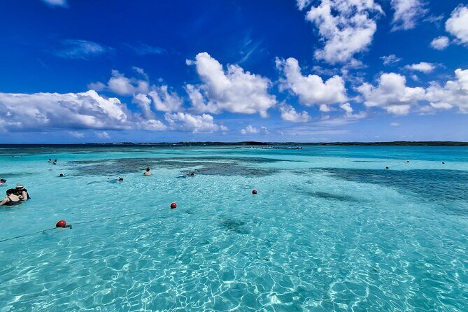 3-Hours Eye-Opening Stingray City Antigua - Transfer R/T included - Final Thoughts