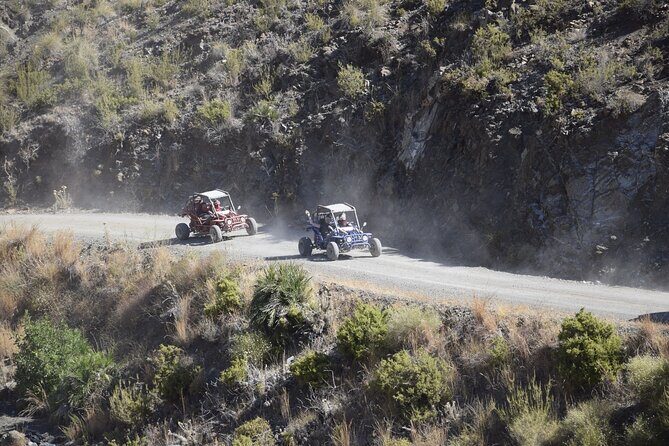 3 Hours Guided Buggy Safari Adventure in the Mountains of Mijas - What to Expect from Your Mijas Mountain Buggy Safari