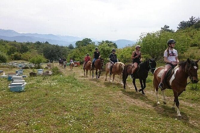 3 Hours Horse Back Riding Alanya - Practical Details and Considerations