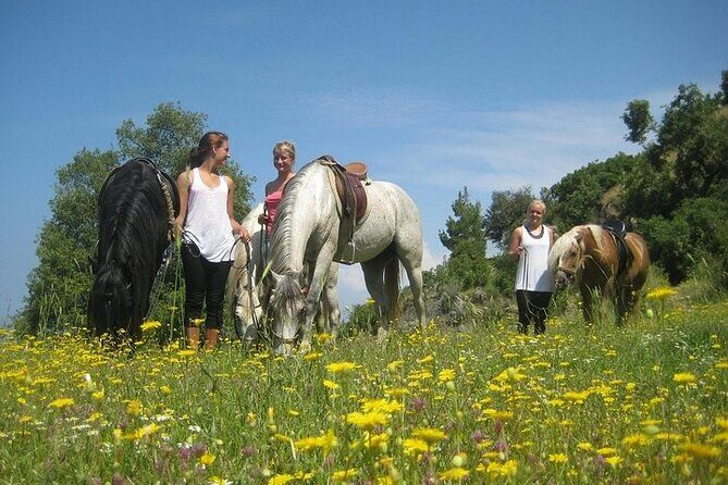 3 Hours Horse Back Riding Alanya - FAQ