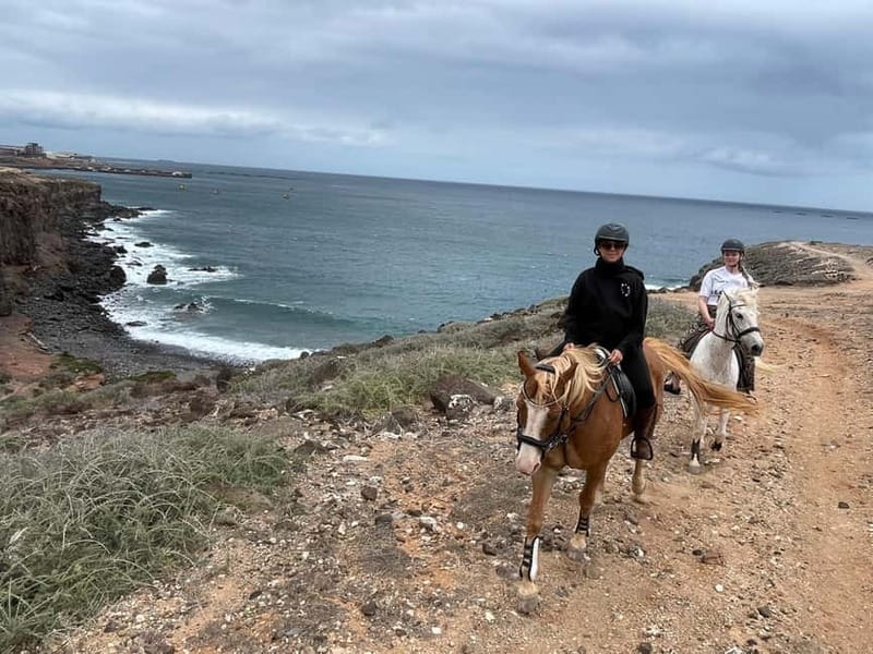 3 hours Horse Riding Tour to the Coast - Key Points