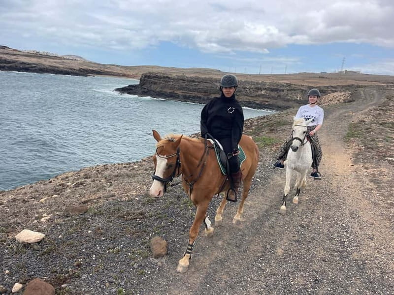3 hours Horse Riding Tour to the Coast - An In-Depth Look at the 3-Hour Horse Riding Tour