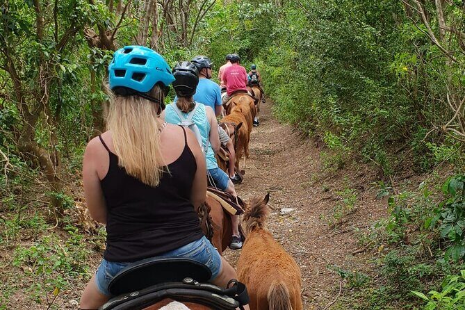 3 Hours Horseback Riding from Nature Trails to Sofa Stone - What to Expect from the Horseback Riding Tour in St Kitts