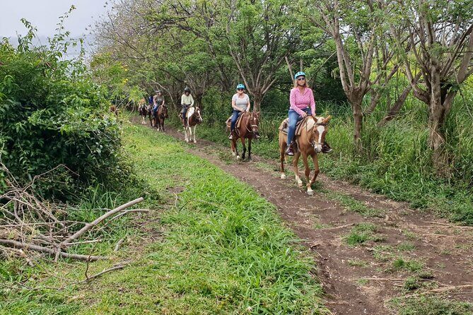 3 Hours Horseback Riding from Nature Trails to Sofa Stone - The Ascent and the Top of the Mountain