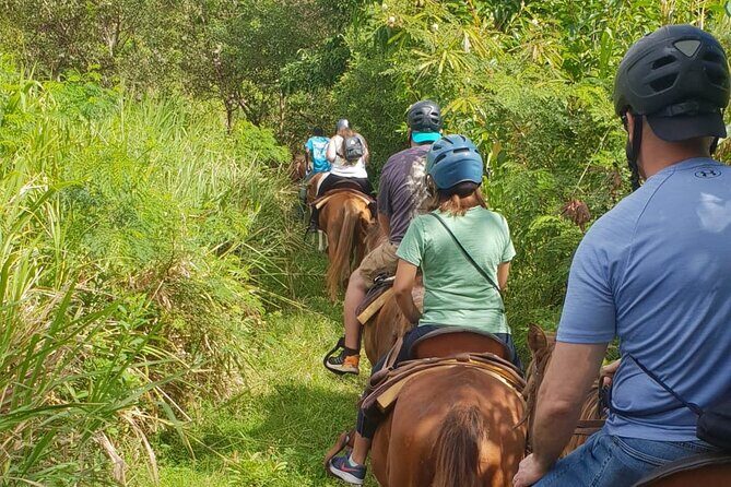 3 Hours Horseback Riding from Nature Trails to Sofa Stone - The Practical Side: Pricing, Duration, and Group Size