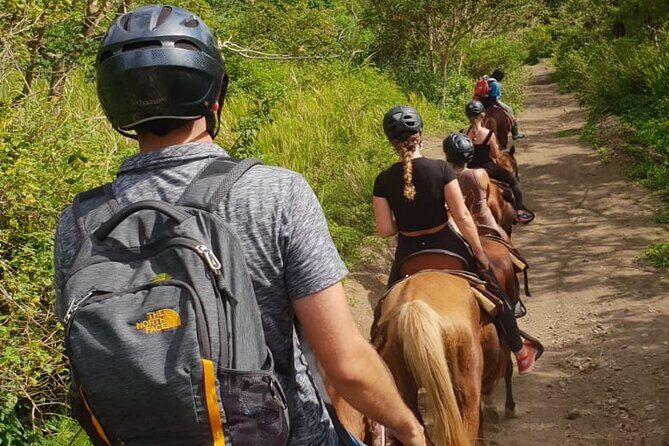 3 Hours Horseback Riding from Nature Trails to Sofa Stone - What the Reviews Tell Us