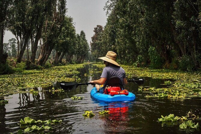 3 Hours of Kayaking at the Ancient Canals of Xochimilco - An Authentic Look at Xochimilco’s Canals: The Experience in Detail