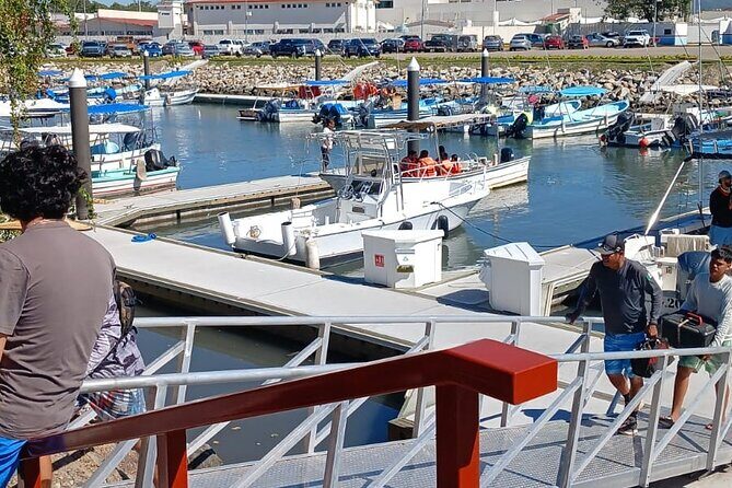 3 Hours of Whale Watching in Puerto Vallarta - Who Will Love This Tour?