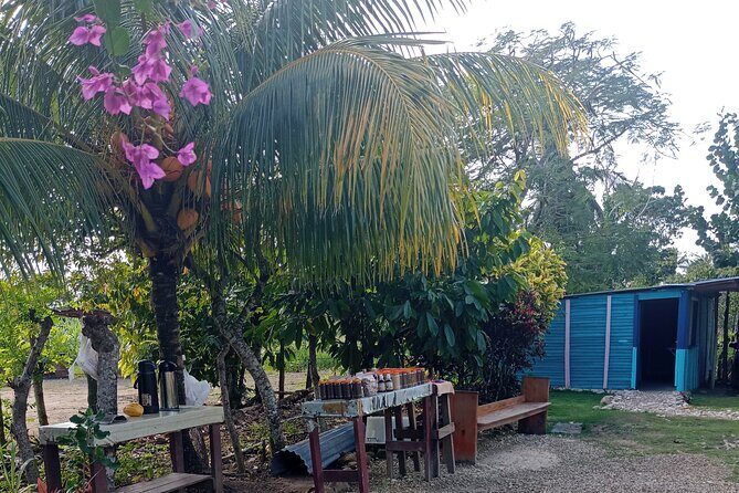 3 Hours Panoramic Tour in Punta Cana with Artisan Market - Who Is This Tour Best For?