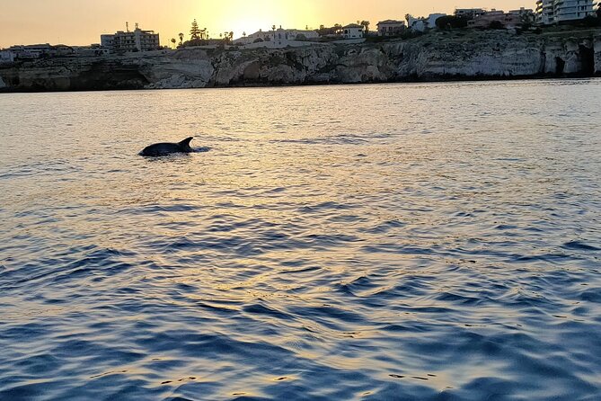 3 Hours Private Boat Tour of the Island of Ortigia With Aperitif - Boat Features and Amenities