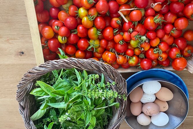 3 Hours Private Course Traditional Apulian Cuisine - Hands-on - Accessibility and Policies