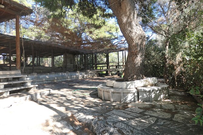 3 Hours Private Philosphical Tour in Athens - Meeting and Accessibility Details