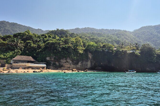3 hours private snorkeling tour in Misaloya, Puerto Vallarta - Who Should Book This Tour?
