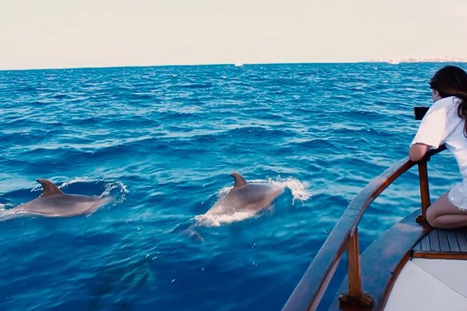 3-Hours Private Tour to Accessible Boat En Canary Island - What to Expect