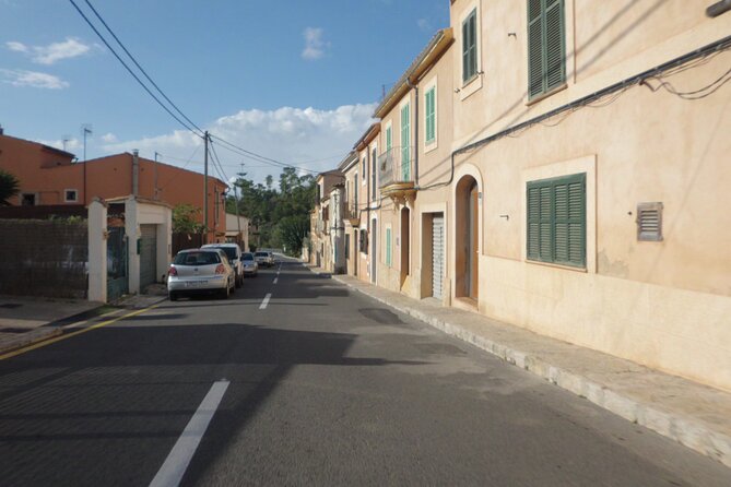 3 Hours Quad Tour From Paguera - Tour Inclusions