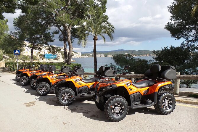 3 Hours Quad Tour From Paguera - Accessibility Options
