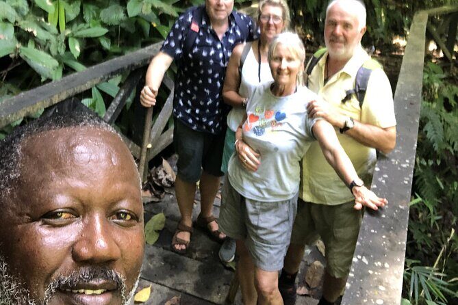 3 Hours Rainforest Group Walk with Lunch - Authenticity and Value: Who Will Appreciate This Tour?