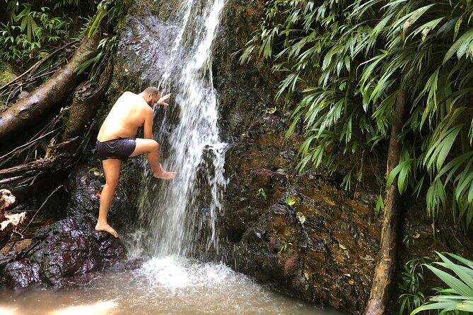 3 Hours Rainforest Walk in Tobago (Private) Lunch + Hummingbirds - Authentic Experiences and Practical Tips