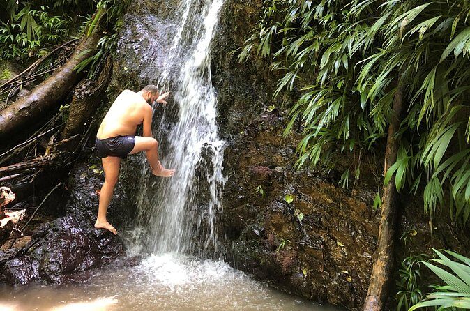 3 Hours Rainforest Walk in Tobago (Private) Lunch + Hummingbirds - Frequently Asked Questions (FAQs)