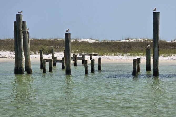 3 Hours Shell Island Experience - Authentic Traveler Insights & Expectations