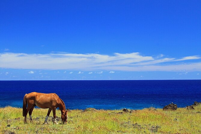 3 Hours Terevaka Horseback Private Guided Riding Tour - Frequently Asked Questions