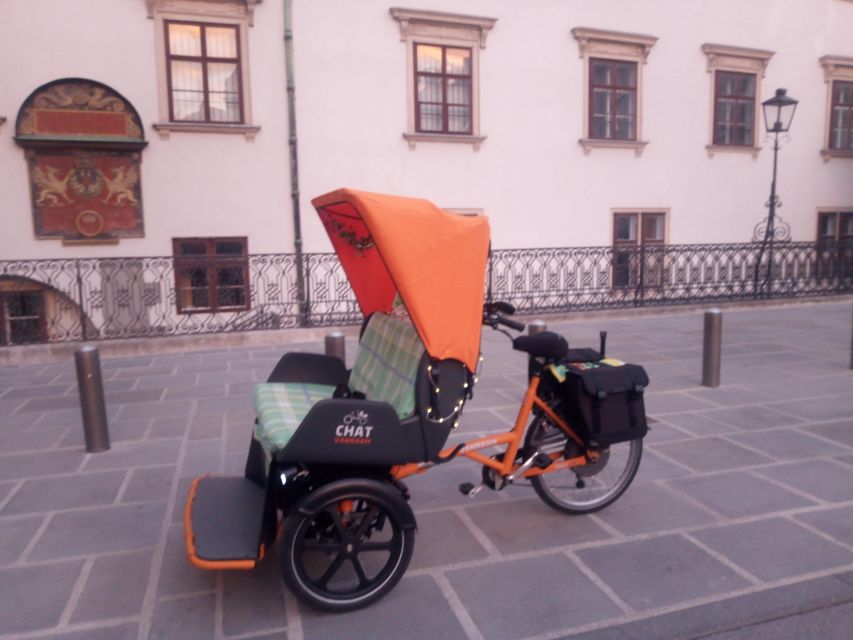 3 hours tour Vienna on RAXI (electric rickshaw) - The Experience in Detail: What You Can Expect