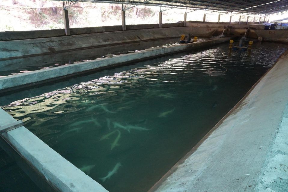 3-Hours Trekking Tour to Hidden Waterfall and Sturgeon Farm - Meeting Point and Transportation