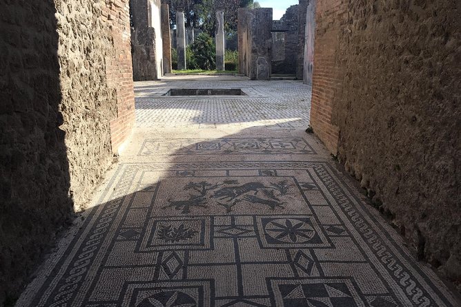 3 Hours Walking Tour in Pompeii With an Archaeologist - Cobblestone Streets and Landmarks