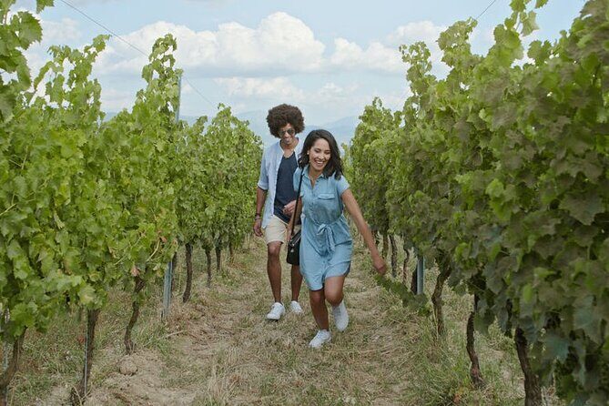 3 hours Wine Tour in Niagara-on-the-Lake - Who Will Love This Tour?