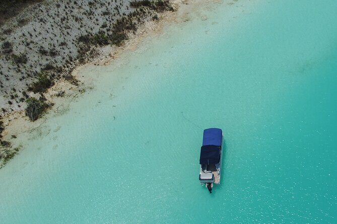 3 hr Pontoon Tour with access to Beach Club and Free Kayaks - Who Is This Tour Best For?