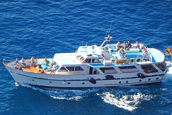 3 hrs Boat Excursion for whale watching from Valle GR (La Gomera) - Key Points