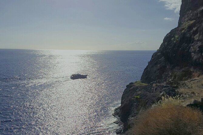 3 hrs Boat Excursion for whale watching from Valle GR (La Gomera) - Final Thoughts