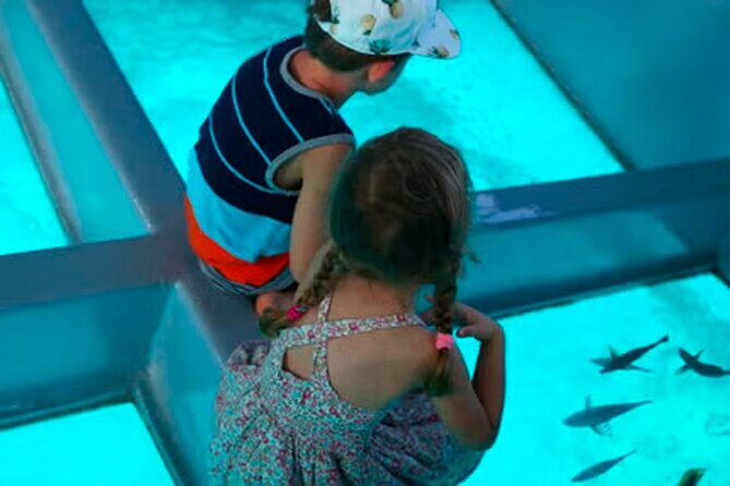 3 hrs Glass Boat Tour in Punta Cana - Key Points