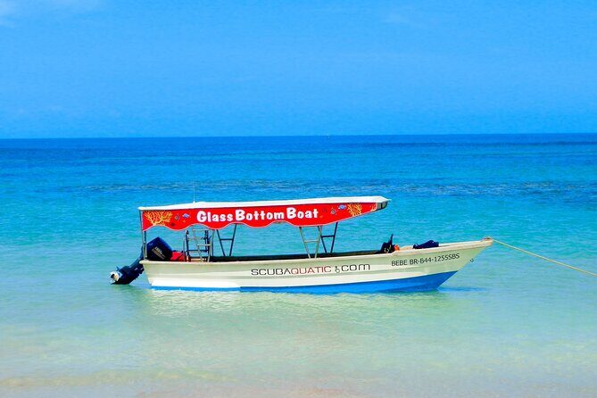 3 hrs Glass Boat Tour in Punta Cana - Transportation and Group Size