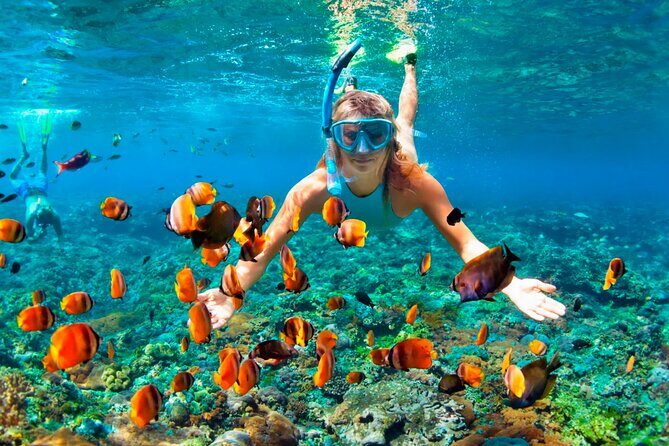 3 hrs Glass Boat Tour in Punta Cana - Who Should Consider This Tour?