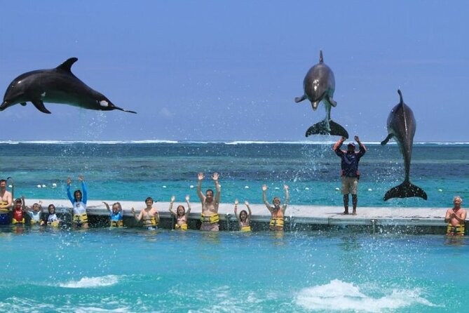 3 Hrs Glass Boat Tour in Punta Cana - Negative Experiences