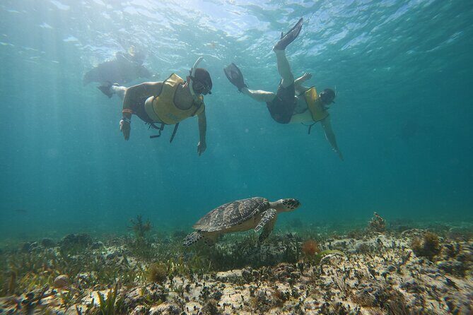 3 in 1 Catamaran Tour to Isla Mujeres from Cancun All Inclusive - What You Can Expect from the Tour