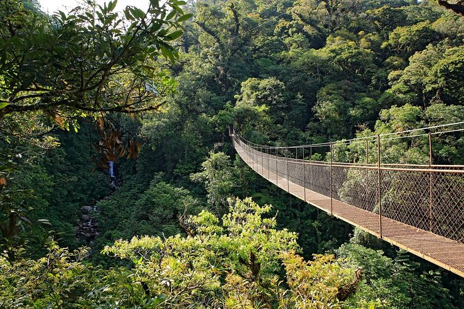3 in 1 Eco Tour Rain Forest Aerial Tram, River Cruise & Nature Walk Private Tour - Operated by Greenway Nature Day Tours