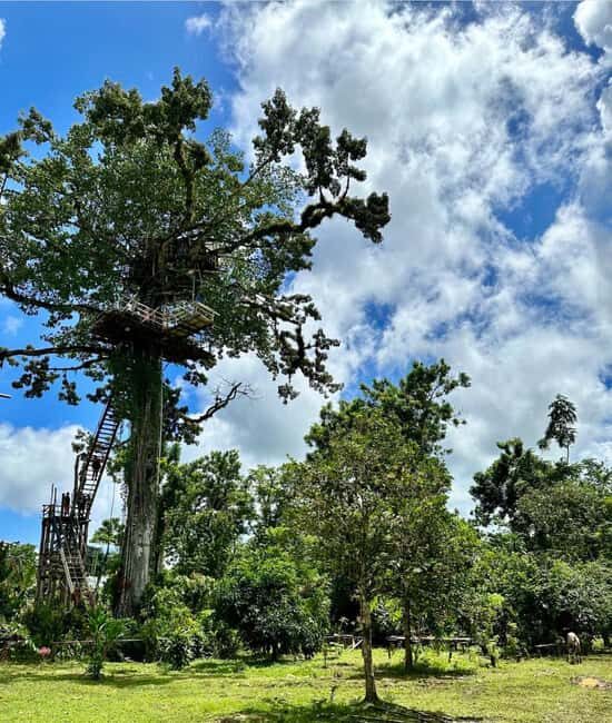 3-in-1: Los Haitises w/ Montaña Redonda & Yanigua Waterfalls - The Itinerary in Detail