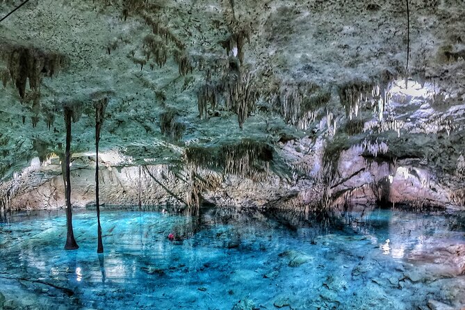 3 in 1 Private Tour Tulum Cenote and Snorkeling in the Reef - Experience Highlights
