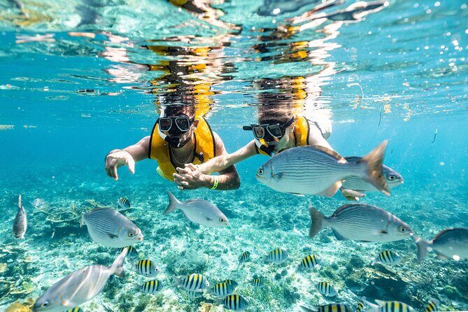 3 in 1 Snorkeling, Parasailing, with Turtle - An In-Depth Look at the Tour Experience