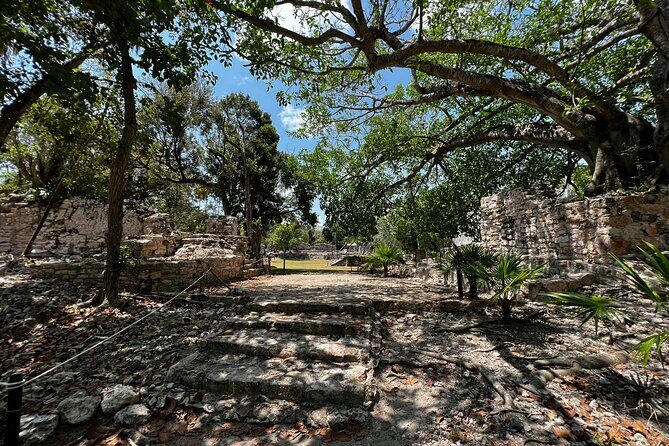 3 in 1 Snorkeling, Parasailing, with Turtle - The Sum Up: Is It Worth It?