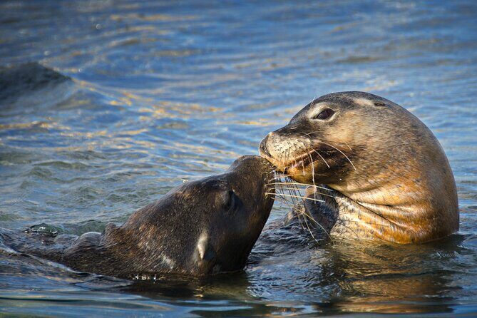 3 Island Wildlife Snorkel - Final Thoughts: Is It Worth It?