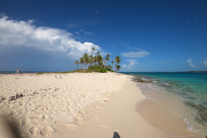 3 Islands Boat Adventure: Swimming Pigs, Turtles, And Snorkeling - Exploring Rose Island