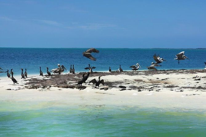 3 Islands Snorkel on boat, Isla Blanca, Contoy, Mujeres - Who Is This Tour Best For?